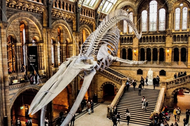 Villa Pantai Boutique Hotel Maragogi - Test Ivan