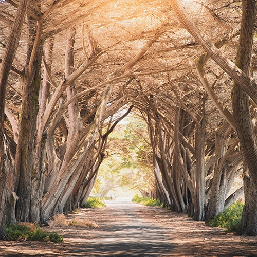 Villa Pantai Boutique Hotel Maragogi - Test Ivan